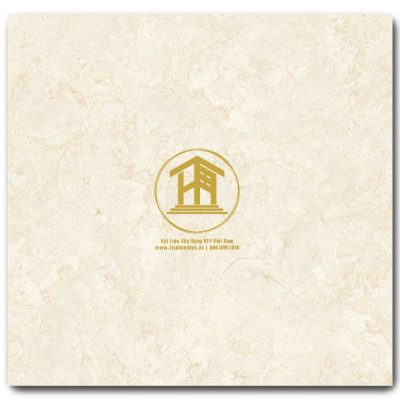 Gạch Viglacera 60x60cm TB603
