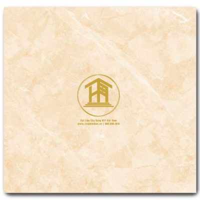 Gạch Viglacera 60x60cm TB608