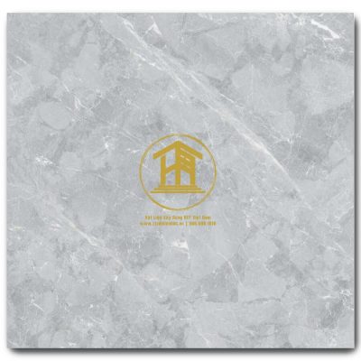 Gạch Viglacera 60x60cm TB609