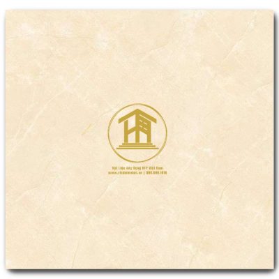 Gạch Viglacera 60x60cm TB610