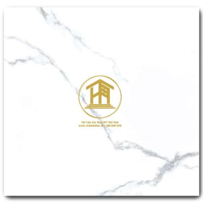 Gạch Viglacera 60x60cm TB611