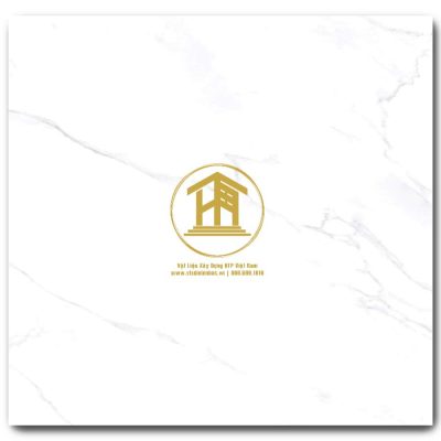 Gạch Viglacera 60x60cm TB6503