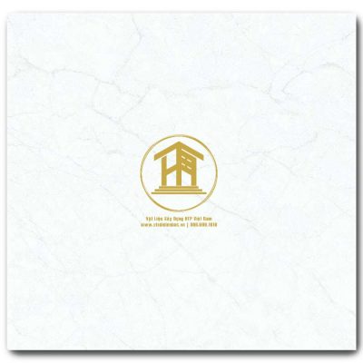 Gạch Viglacera 60x60cm TB6660
