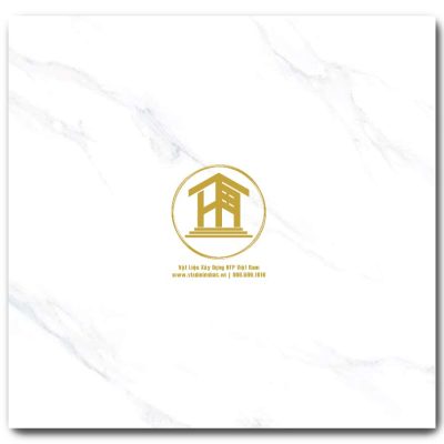 Gạch Viglacera 60x60cm TB6701