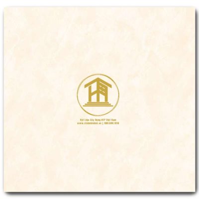 Gạch Viglacera 60x60cm TB6703