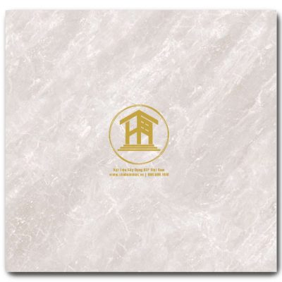 Gạch Viglacera 60x60cm TB6705