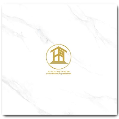 Gạch Viglacera 60x60cm TB6707