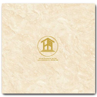 Gạch Viglacera 60x60cm TB6805