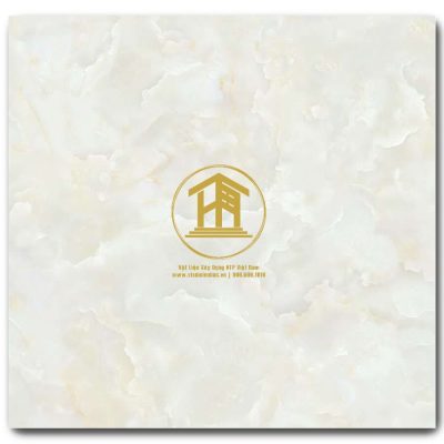 Gạch Viglacera 60x60cm TB6807