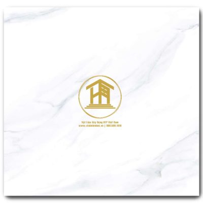 Gạch Viglacera 60x60cm TB6808