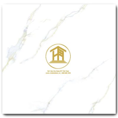 Gạch Viglacera 60x60cm TB6809