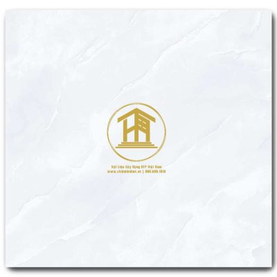Gạch Viglacera 60x60cm TB681