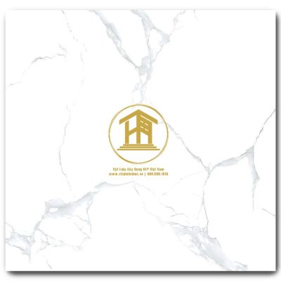 Gạch Viglacera 60x60cm TB6810