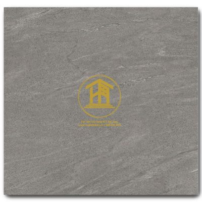 Gạch Viglacera 60x60cm TM602