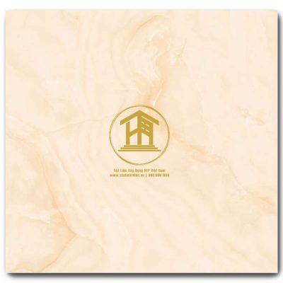 Gạch Viglacera 60x60cm TQ601