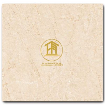 Gạch Viglacera 60x60cm TQ603