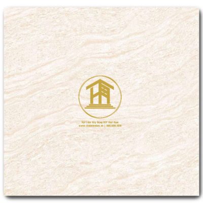 Gạch Viglacera 60x60cm TQ606