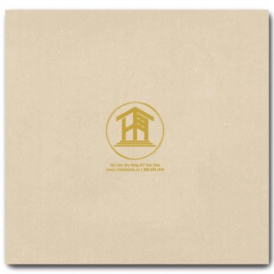 Gạch Viglacera 60x60cm TS1-615