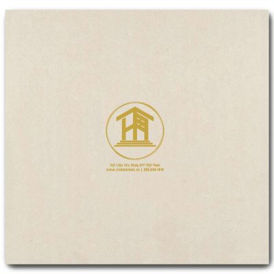 Gạch Viglacera 60x60cm TS1-615