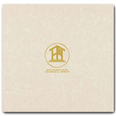 Gạch Viglacera 60x60cm TS2-617