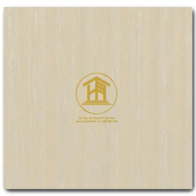 Gạch Viglacera 60x60cm TS3-615
