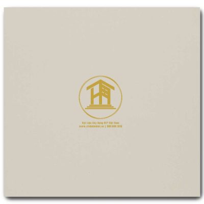 Gạch Viglacera 60x60cm TS5-601