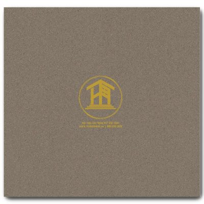 Gạch Viglacera 60x60cm TSMT606