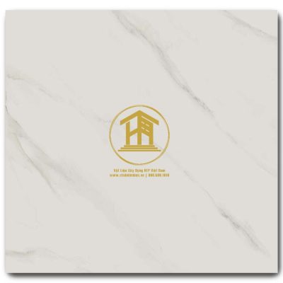 Gạch Viglacera 60x60cm VG6001