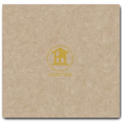 Gạch Viglacera 60x60cm VG6002