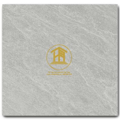 Gạch Viglacera 60x60cm VG6005