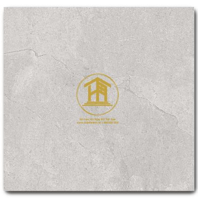 Gạch Viglacera 60x60cm VG6012