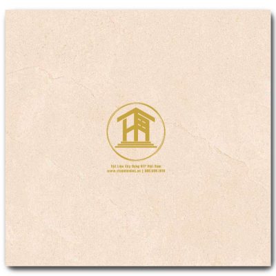 Gạch Viglacera 60x60cm VG6014