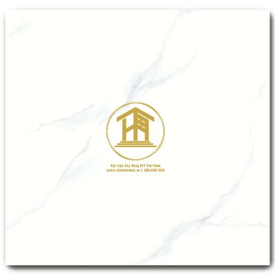 Gạch Viglacera 60x60cm VHP6601