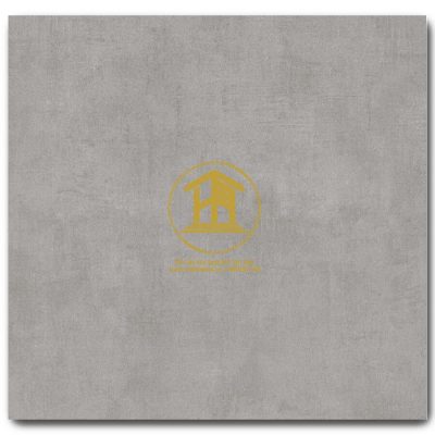 Gạch Viglacera 60x60cm VHP6602