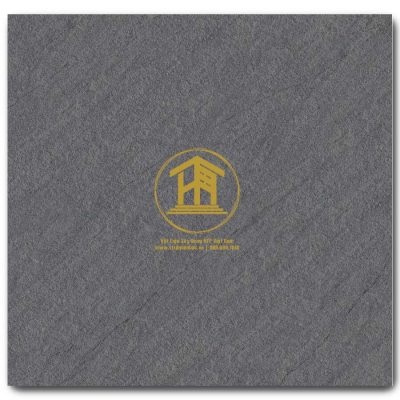 Gạch Viglacera 60x60cm VHP6608
