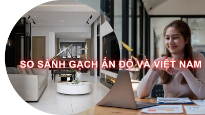 So sánh Gạch Ấn Độ và Việt Nam