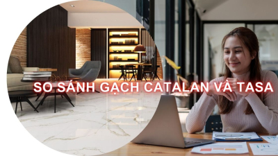 So sánh Gạch Catalan và Tasa