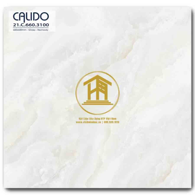 Gạch Calido 60x60cm 3100