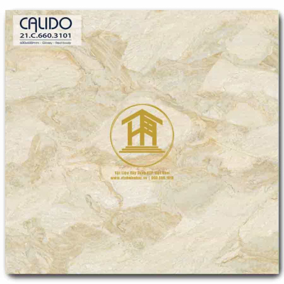 Gạch Calido 60x60cm 3101