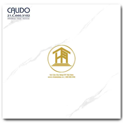 Gạch Calido 60x60cm 3102