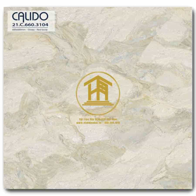 Gạch Calido 60x60cm 3104