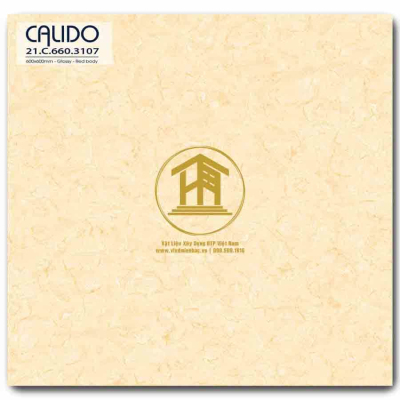 Gạch Calido 60x60cm 3107