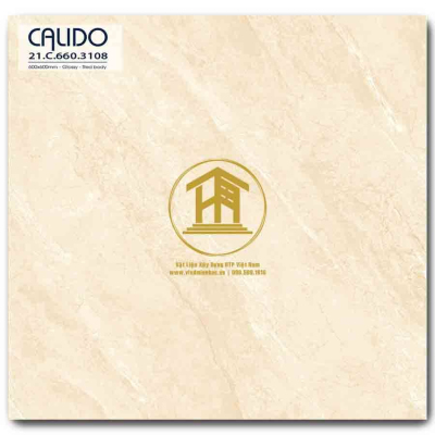 Gạch Calido 60x60cm 3108