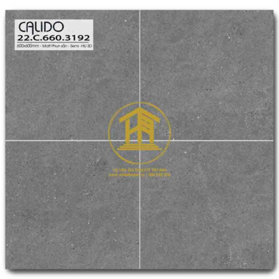 Gạch Calido 60x60cm 3192