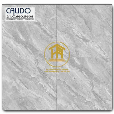 Gạch Calido 60x60cm 5608