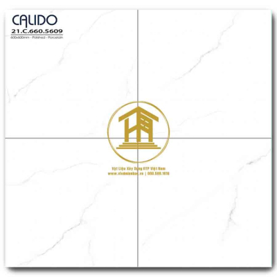 Gạch Calido 60x60cm 5609