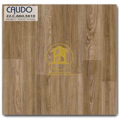 Gạch Calido 60x60cm 5610