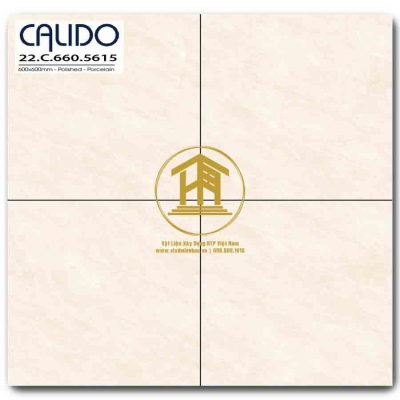 Gạch Calido 60x60cm 5615