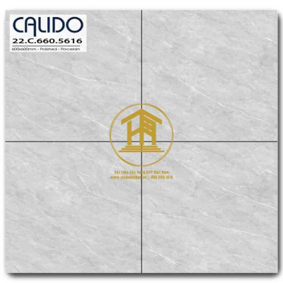 Gạch Calido 60x60cm 5616