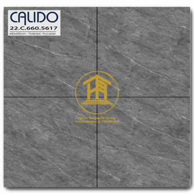 Gạch Calido 60x60cm 5617